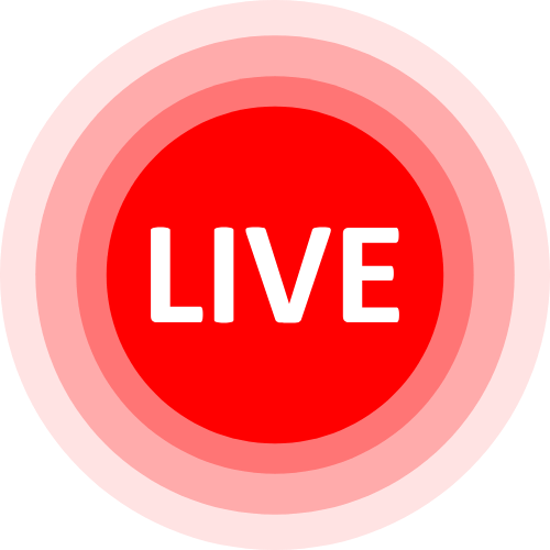 The Mindless Cam Girls